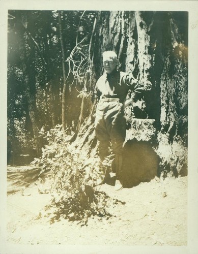 Unidentified man standing in front of a redwood tree