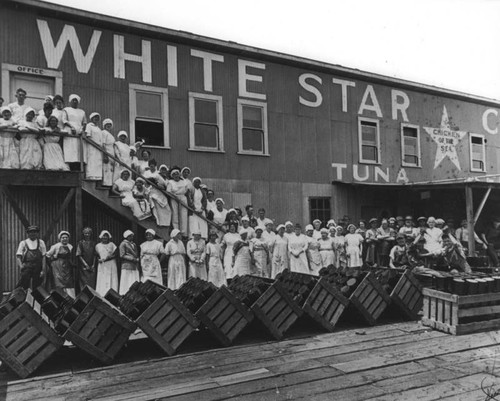 White Star tuna cannery workers