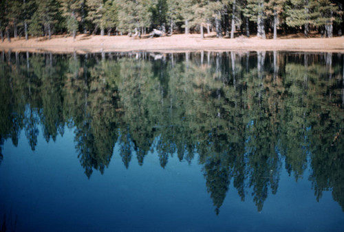 Nora Lake