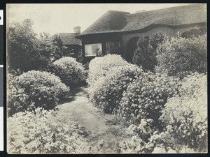 Scene at the Miramar Hotel near Santa Barbara, ca.1910