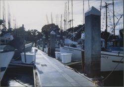 Boats docked at Spud Point Marina