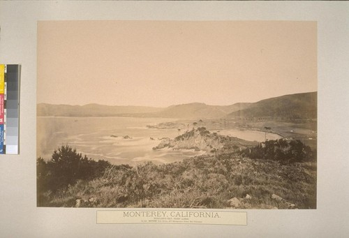 Monterey, California. Whaler's Bay, Point Lobos
