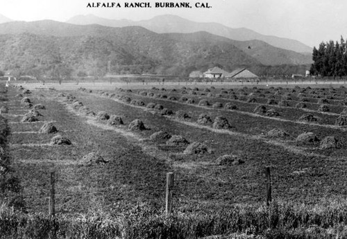 Alfalfa ranch in Burbank