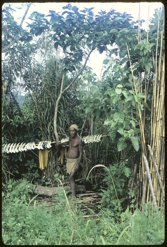Portrait of a man, Kwailoboo, with a collection of pig jaws