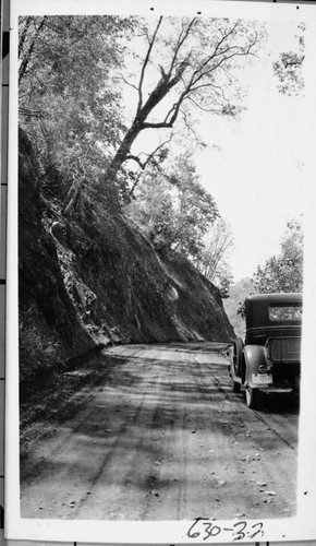 early highway scene showing dangerous overhanging trees. Hazard Trees