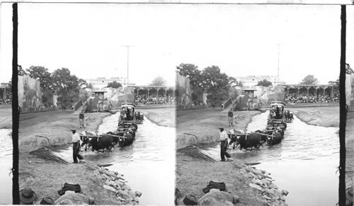 Covered Wagon, Fording a stream, St. Louis World's Fair, Missouri