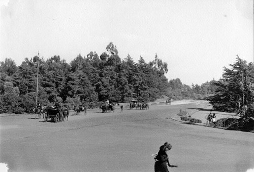[Horse and buggies in Golden Gate Park]