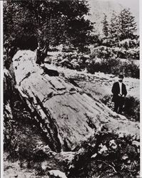 Petrified Charlie and an unidentified man standing next to a petrified tree, Calistoga, California, 1879