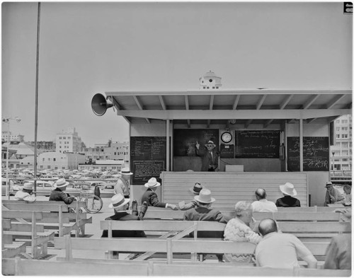 Long Beach Public Forum, University by the Sea, Pine and Seaside Ave. ("Spit and Argue Club")