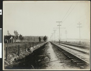 Stretch of the Long Beach rail line, ca.1905
