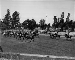 California Centaurs mounted junior drill team practicing at the Sonoma County Fairgrounds, Santa Rosa, California, 1946