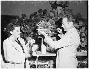Inglewood Dahlia Show, 1951