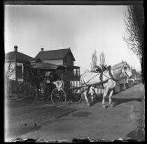 Woman in horse-drawn carriage, with houses in the background