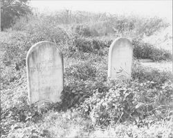 Tombstones of Josiah and Harriet Morin, Petaluma, California(?), about 1955