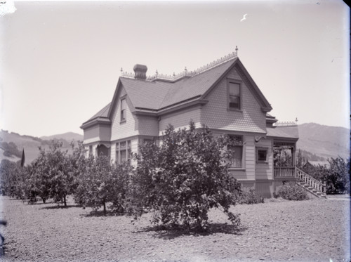 House with Citrus Trees