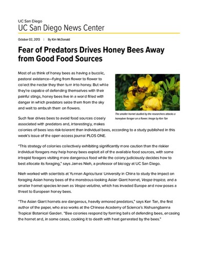 Fear of Predators Drives Honey Bees Away from Good Food Sources