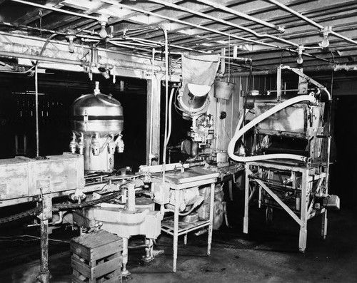 Interior of the Utt Juice Company, Tustin, showing the front of the bottling machine and machinery for the conveyor belt, ca. 1930