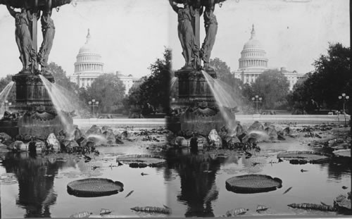 The Fountain, Botanical Garden, Washington, D.C