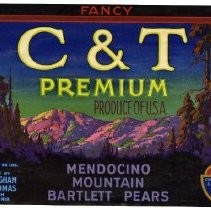 C&T Premium