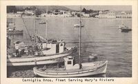 Carniglia Bros. Fleet Serving Mary's Riviera