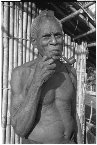 An elderly Kwaio man shaves by pulling out his whiskers with a clam shell