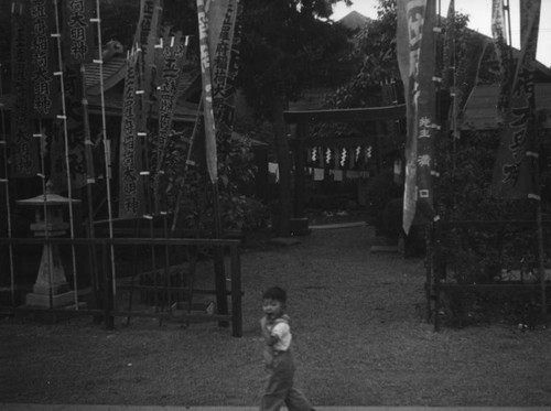 Boy walking by Shinto shrine