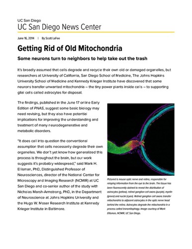Getting Rid of Old Mitochondria