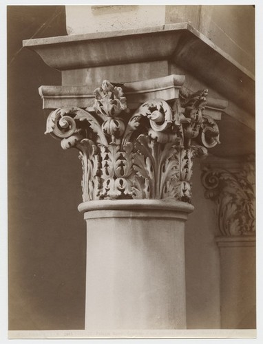 Pe. Ia. No. 2865 Firenze Palazzo Gundi. Capitello d'una colonna del Cortile. (Giuliano da San Gallo.)