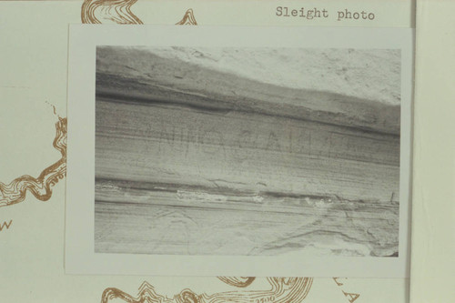 "N NINO S ALLEN" inscriptions in side of canyon of the Escalante near the mouth below Davis Gulch- left bank