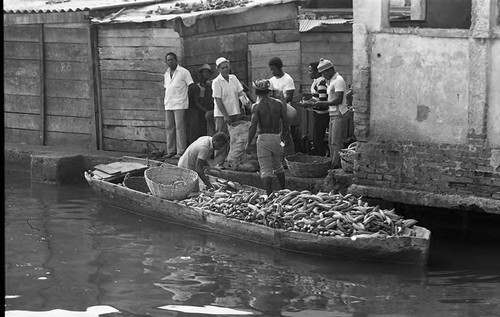 Men unload bananas from a boat, Cartagena Province, 1975
