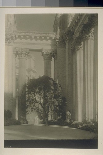 H287. [Colonnade, Palace of Fine Arts (Bernard R. Maybeck, architect). "Muse Finding Head of Orpheus" (Edward Berge, sculptor), beneath tree.]