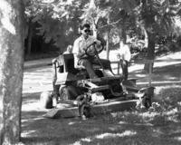 1980s - City Staff Gardener Mowing Park Grass