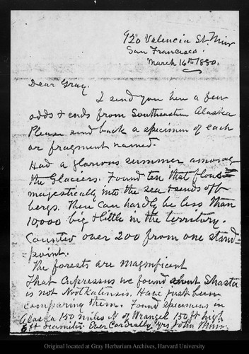 Letter from John Muir to [Asa] Gray, 1880 Mar 16
