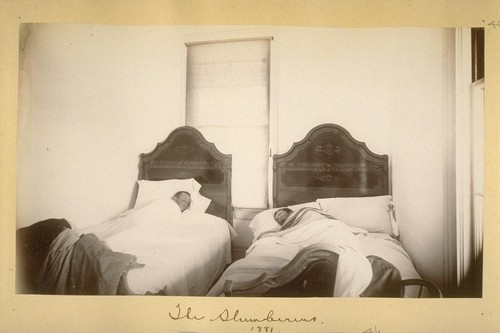 The Slumberers. 1881