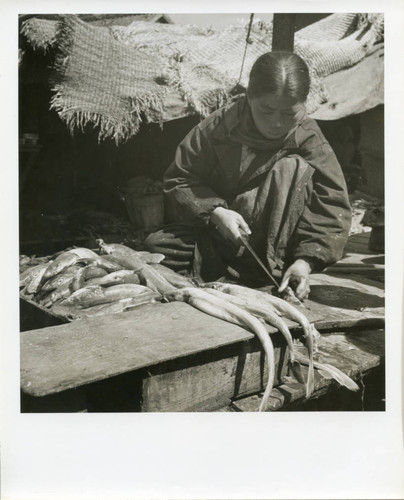 Woman gutting fish in the market