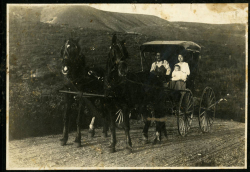 Family riding in Horse-drawn Coach