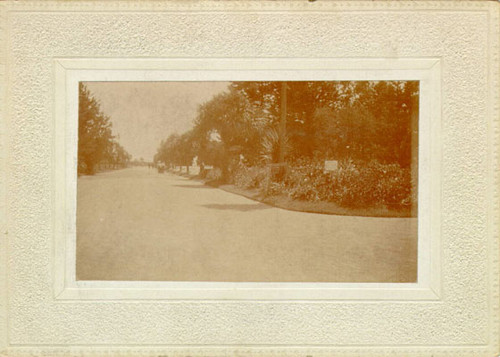 [Main driveway from gates at Sutro Heights]