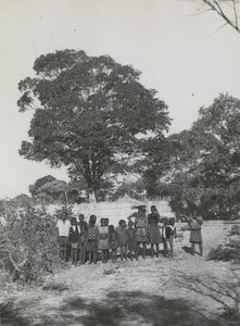 Group of children in front of a tree named Simbule, in Sefula