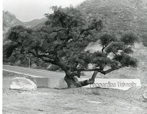 Pepperdine University sign at Malibu Canyou Road entrance, 1973