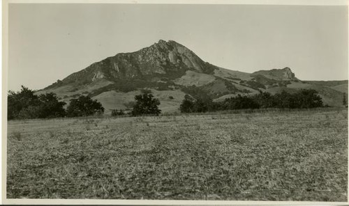 Bishop's Peak