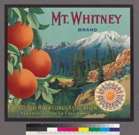 Mt. Whitney Brand, Sunkist Citrus Fruits