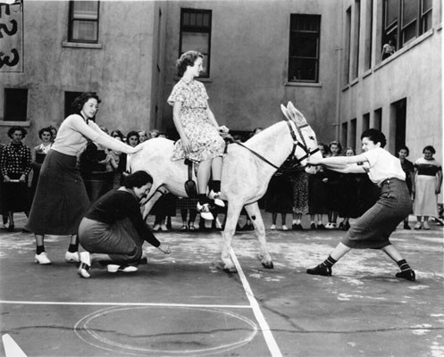 [Girls playing with a donkey on the playground of Girls High School ]