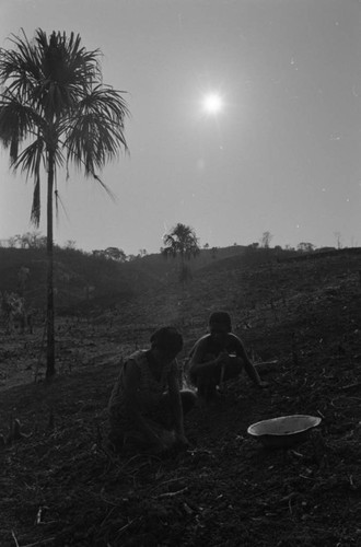 Peanut farming, San Basilio de Palenque, 1977