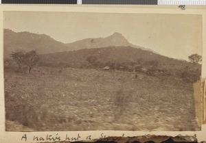 Indigenous settlement, Morogoro region, Tanzania, November 1917