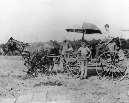 Edwin Brewer and Son, Harold, with Horse-Drawn Wagon [graphic]