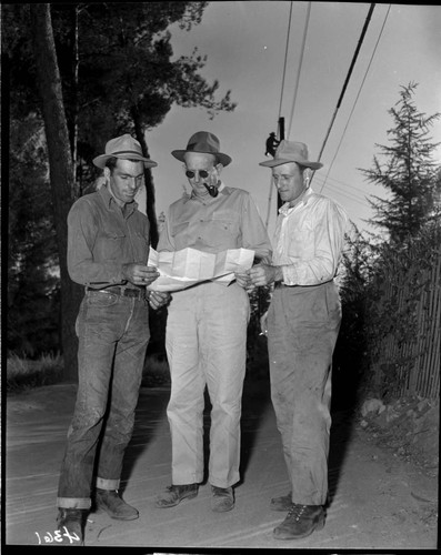 Three men looking over work plans along transmission line in forest
