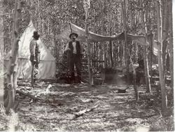 Campsite of Ramon Machado and John Black. Owens Valley, California