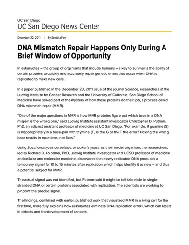 DNA Mismatch Repair Happens Only During A Brief Window of Opportunity