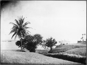 Harbor of Tanga, Tanzania, 1927