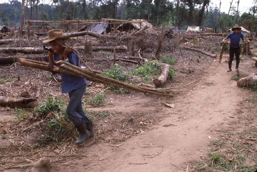 Guatemalan refugees work carry logs, Chajul, ca. 1983